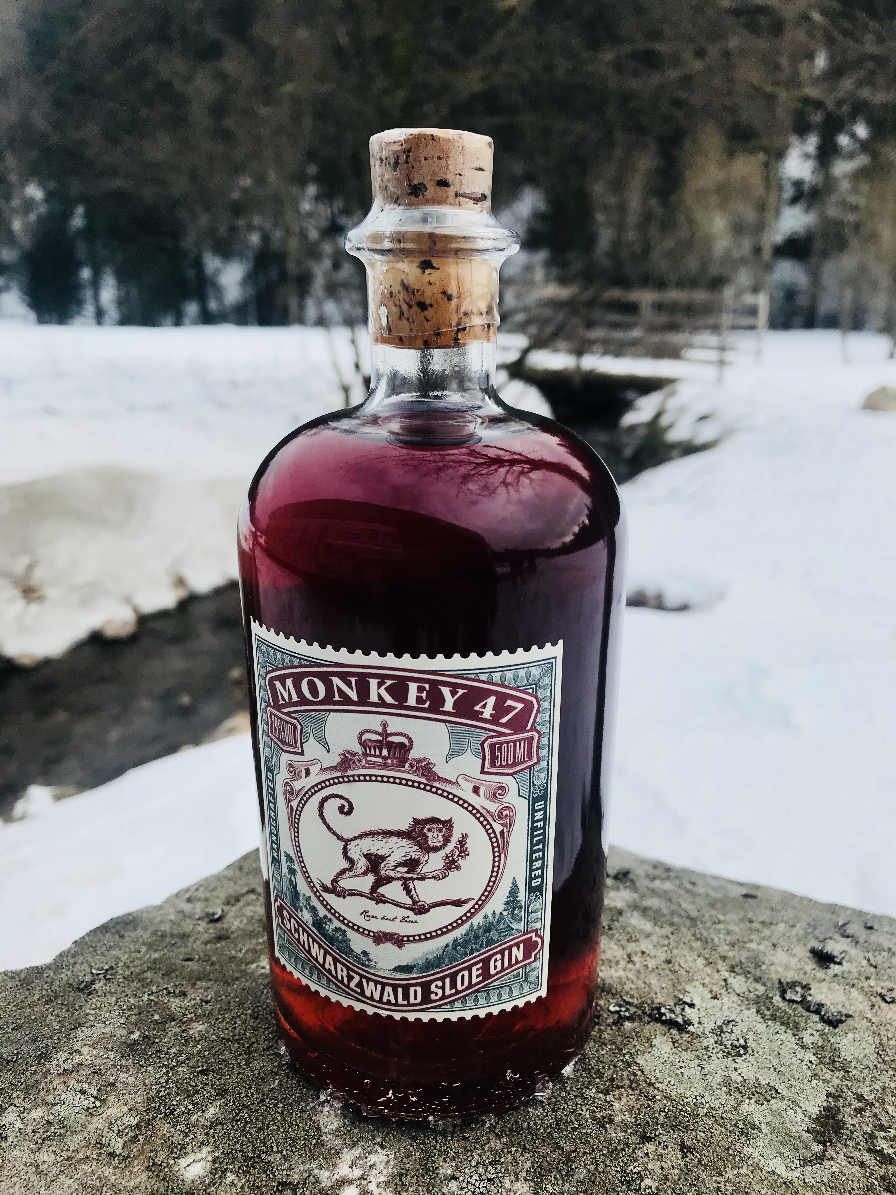 The Monkey Safari – One of a Kind