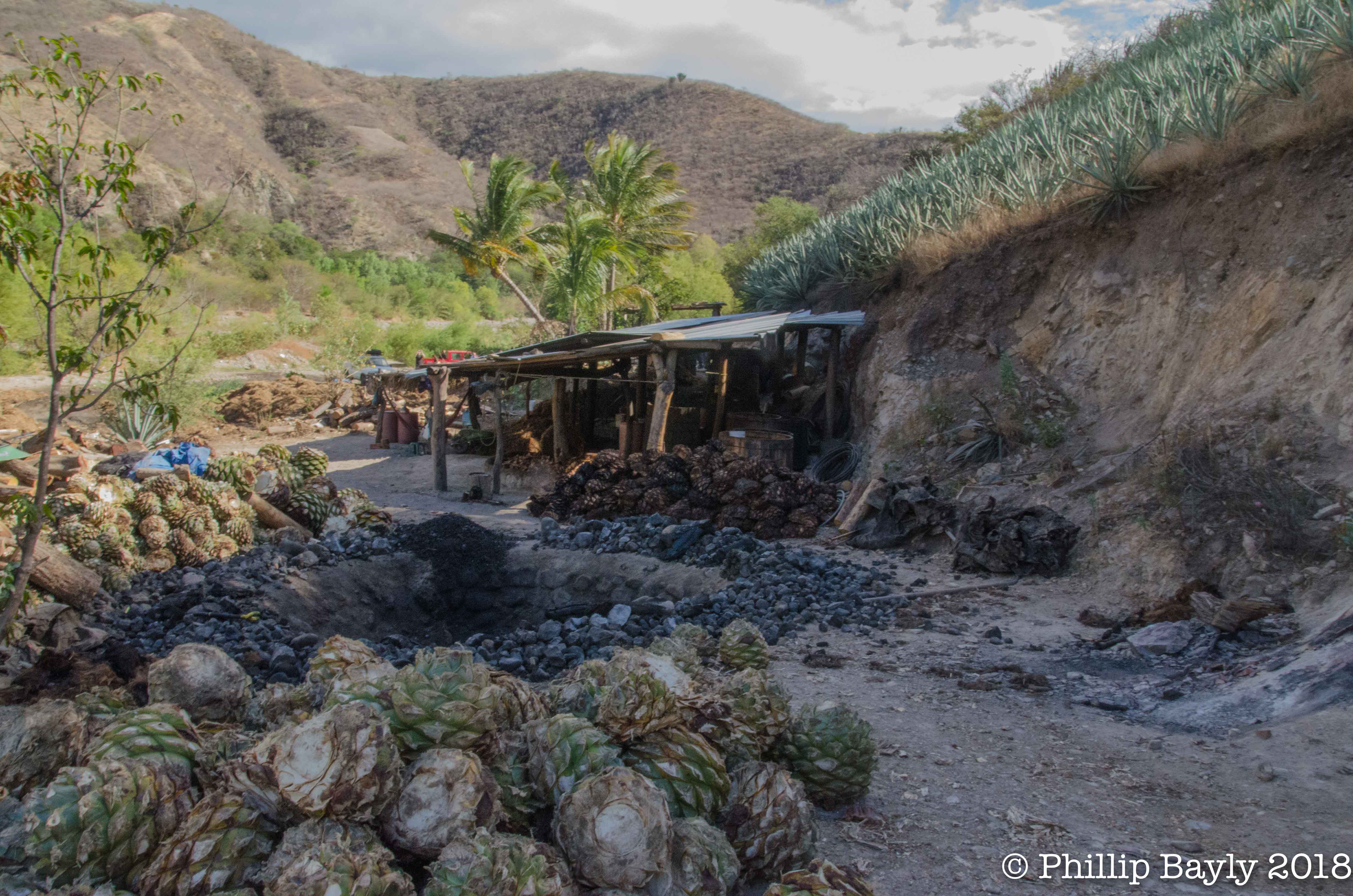 Palenque (mezcal Distillery)